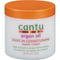 Cantu Argan Oil Leave-In Conditioning Repair Cream 16 OZ | Black Hairspray