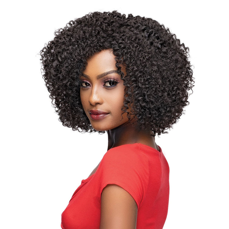 Janet Collection Natural Curly Premium Synthetic Wig - Natural Afro Neha