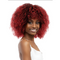 Janet Collection Natural Curly Premium Synthetic Wig - Natural Afro Leon