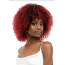 Janet Collection Natural Curly Premium Synthetic Wig - Natural Afro Leon