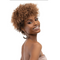 Janet Collection Natural Curly Premium Synthetic Wig - Natural Afro Mica