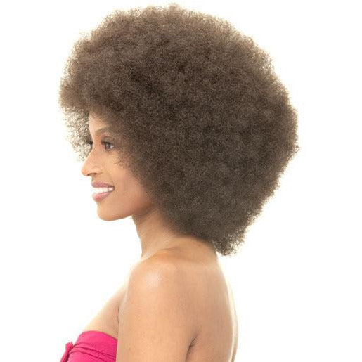Janet Collection Synthetic Wig – Afro