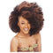 Janet Collection Noir Braids – Afro Kinky Bulk 24"