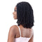 FreeTress Equal Synthetic HD Braided Lace Front Wig – Knotless Butterfly Loc